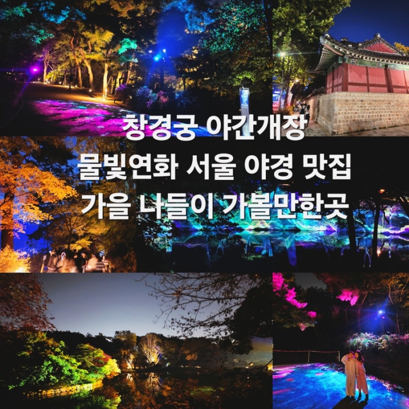 창경궁 야간개장 물빛연화 서울 야경 추천 종로 놀거리 가을 데이트 가볼만한곳