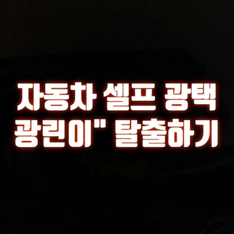 셀프 광택 | 도전하는 광린이 필독! 광택기 구매 전 먼저 알아야 할 것