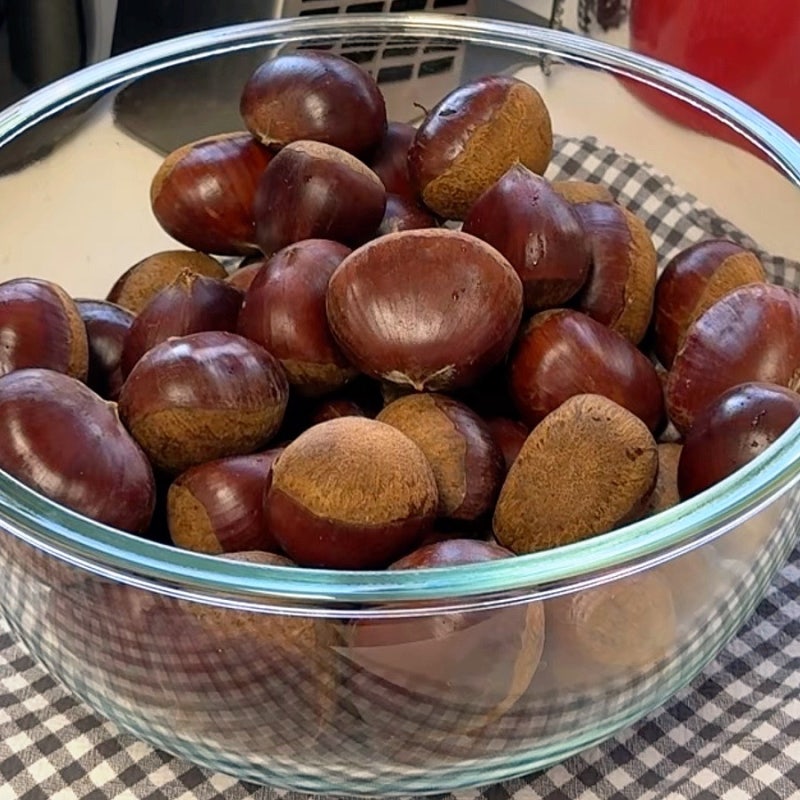 공주 햇밤 선물 받았어요! 밤 삶는 법부터 보관법까지, 가을이 맛있는 이유