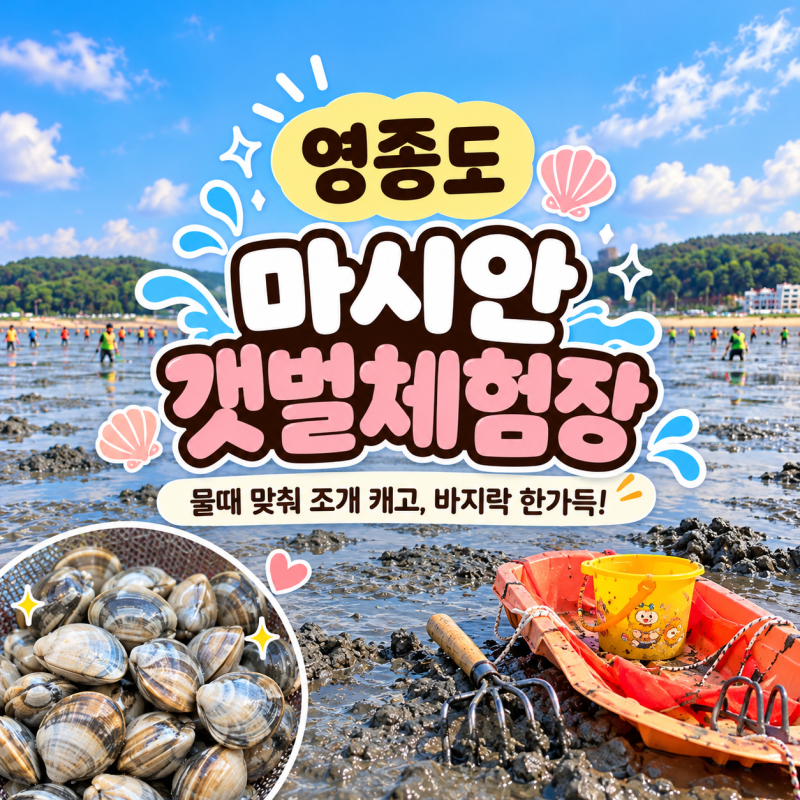 영종도 마시안 갯벌 체험장 아이랑 이색체험 물때와 준비물 바지락해감 까지 총정리
