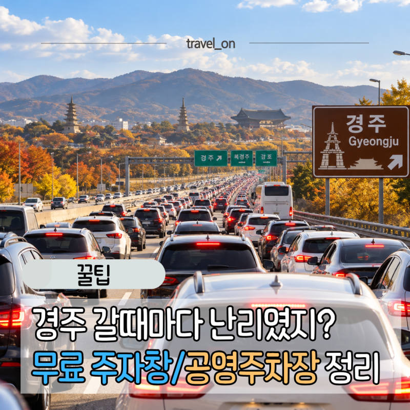 경주 무료 유료 주차장 꿀팁 총정리