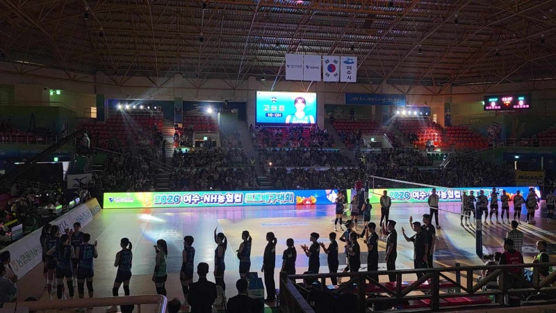 코보컵 여자배구 일정 총정리, 흥국생명 전승 준결승행에 현대건설 탈락 이유