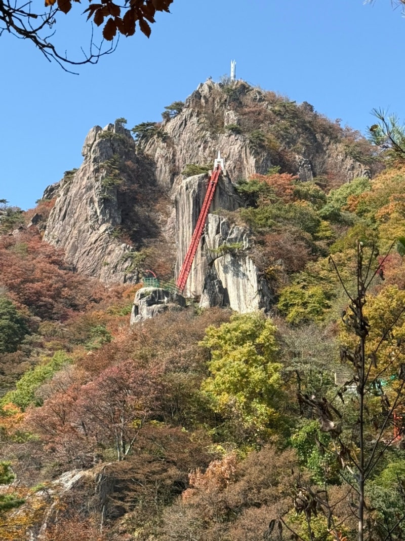 [대둔산]걸어서 최단코스 마천대 정상까지, 가을 단풍 산행 후기