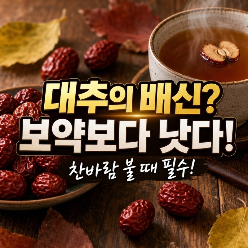 찬바람 불면 대추부터 산림청이 10월에 콕 집은 대추 효능·보관법·대추차 끓이는 법