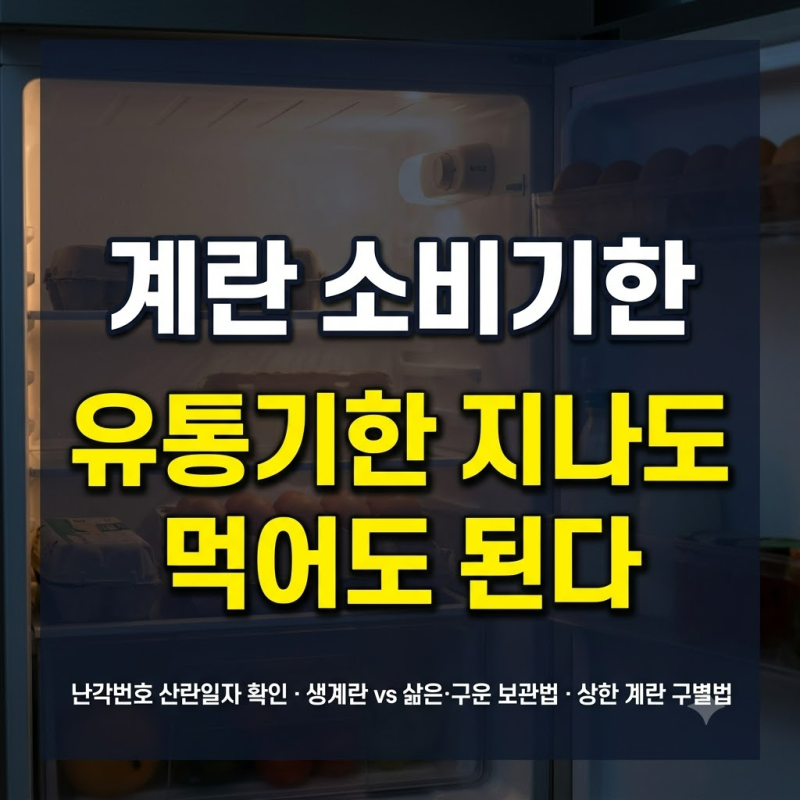 계란 유통기한과 소비기한 차이: 난각번호 산란일자 확인부터 상한 계란 구별법