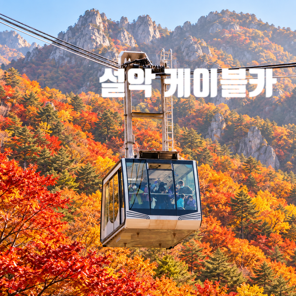 2026 설악산 단풍 절정 시기, 케이블카 요금·당일치기 코스 총정리