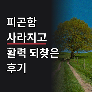 센트룸 실버 포 맨 종합 멀티 비타민 70정 50+ 약국 남성 영양제