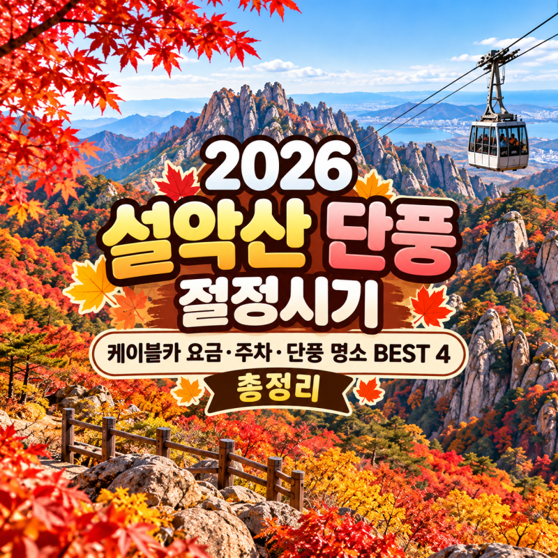2026 설악산 단풍 절정시기｜케이블카 요금·주차·단풍 명소 BEST 4 총정리