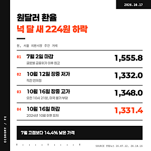 원달러 환율 2년 만에 최저 "지금 달러를 바꿔놓을까?"
