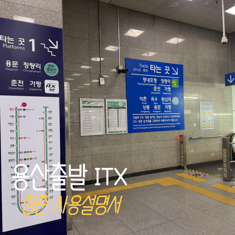ITX 청춘 사용설명서｜2층 열차·자유석·좌석·콘센트 이용 후기