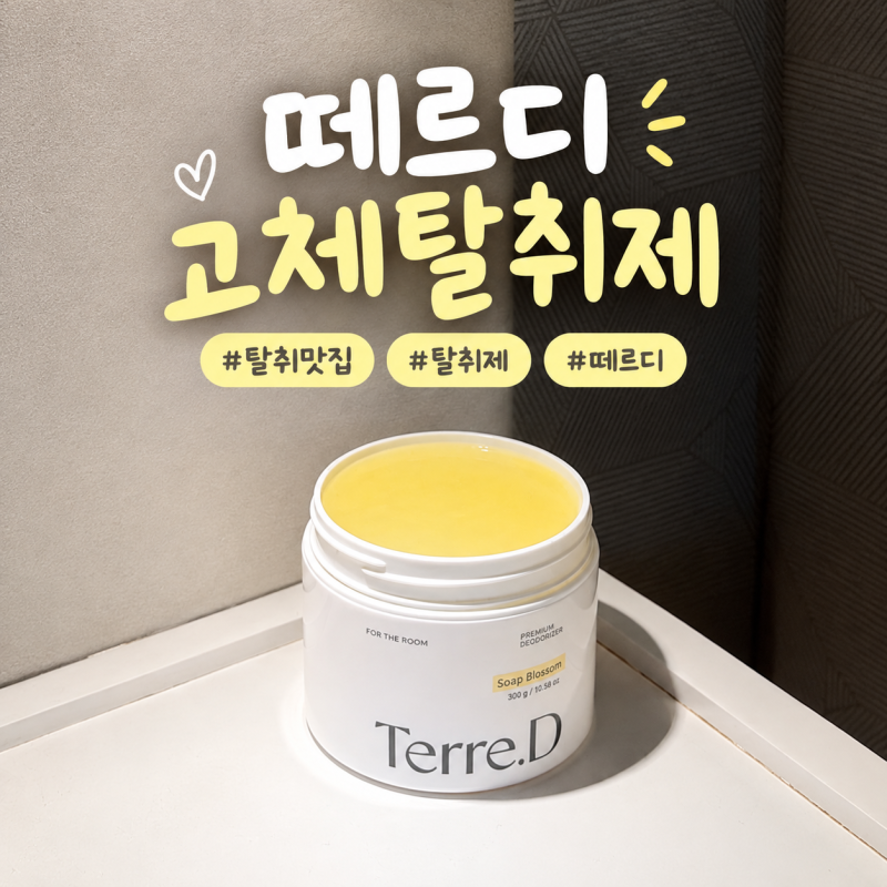 실내 탈취제 | 떼르디 고체탈취제 은은한 비누향에 집안 냄새 제거까지
