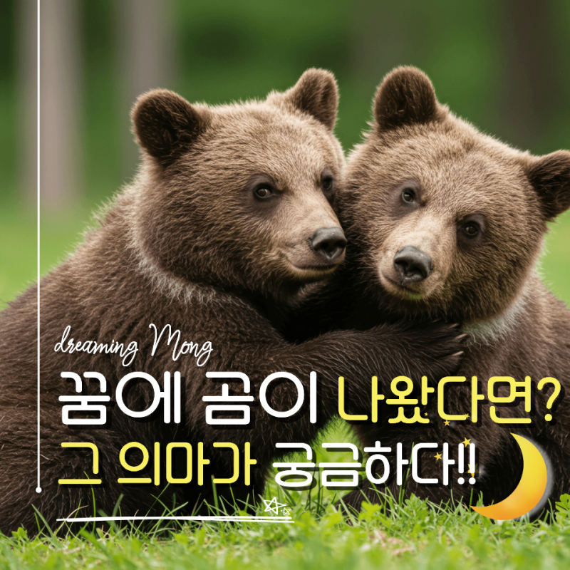 곰꿈 해몽 총정리, 곰이 나오는 꿈 길몽 흉몽 10가지 의미
