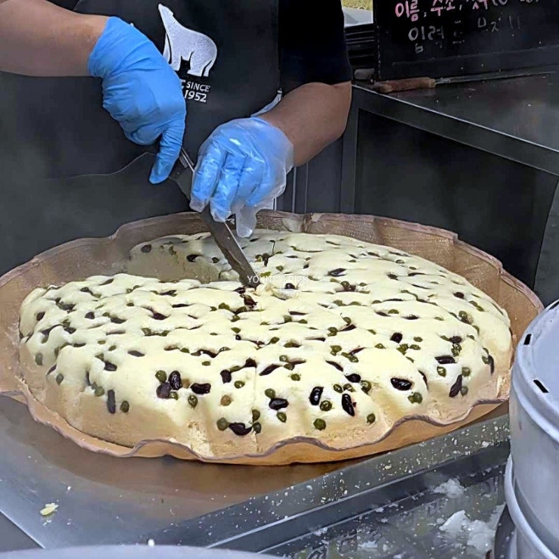 속초 중앙시장 강원도막걸리술빵 택배 후기 다시 먹어도 그 맛일까?