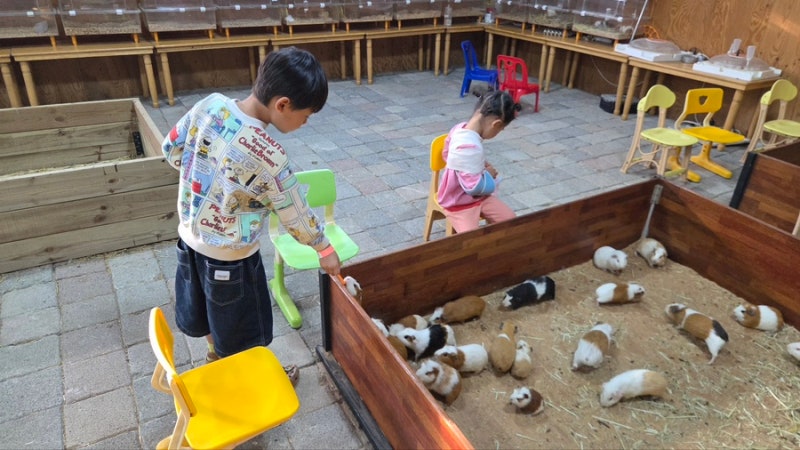 서울근교동물농장 양평 소풍 체험농장