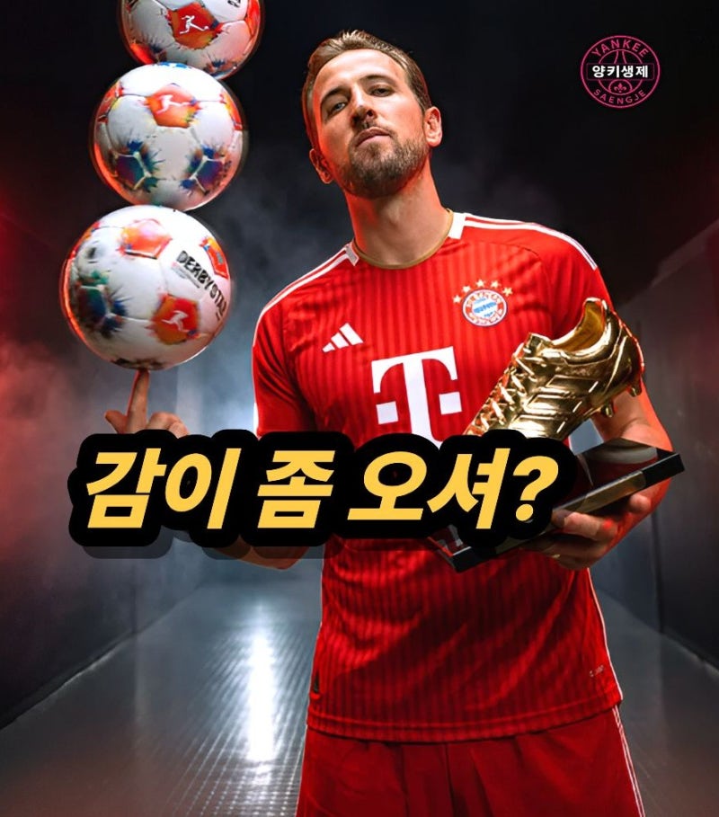 헐! 해리 케인 "하루에 1억 넘게 번다!" 뮌헨과 2029년까지 재계약 합의