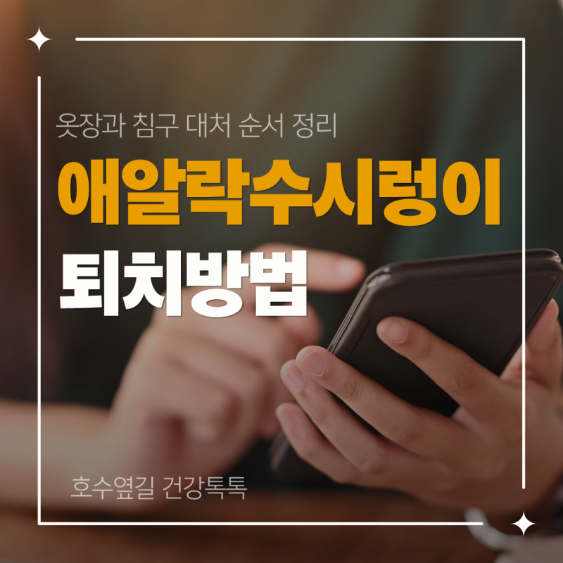 애알락수시렁이 퇴치방법, 옷장과 침구 대처 순서 정리
