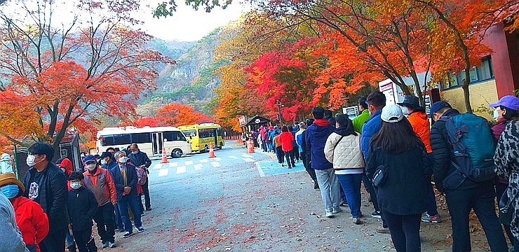 내장산 단풍 절정 시기·케이블카·셔틀버스·주차장｜황혼에도 신혼처럼 아름다웠던 노부부....