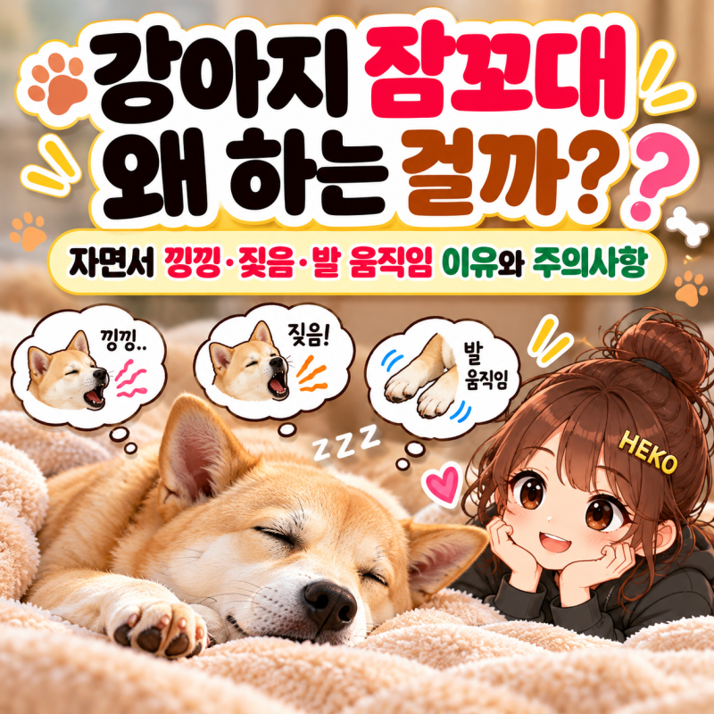 강아지 잠꼬대 왜 하는 걸까? 자면서 낑낑·짖음·발 움직임 이유와 주의사항