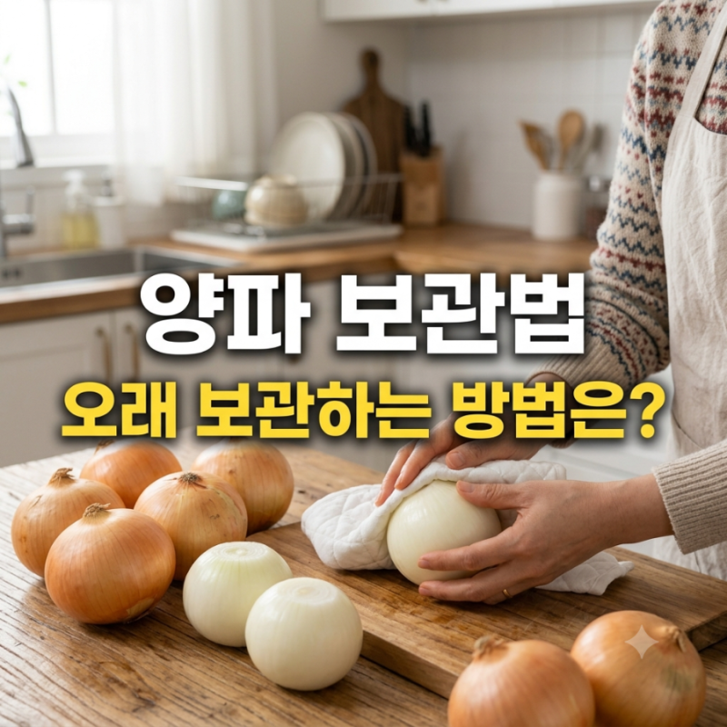 양파 보관법 잘못하면 금방 물러진다고? 오래 보관하는 방법 3가지!