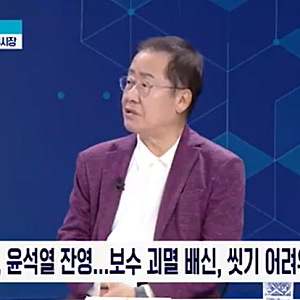 홍준표 "깐죽대던 한동훈, 尹도 '패 죽이고 싶다' 해…보수 괴멸시킨 배신자에 쥐떼 근성 추....