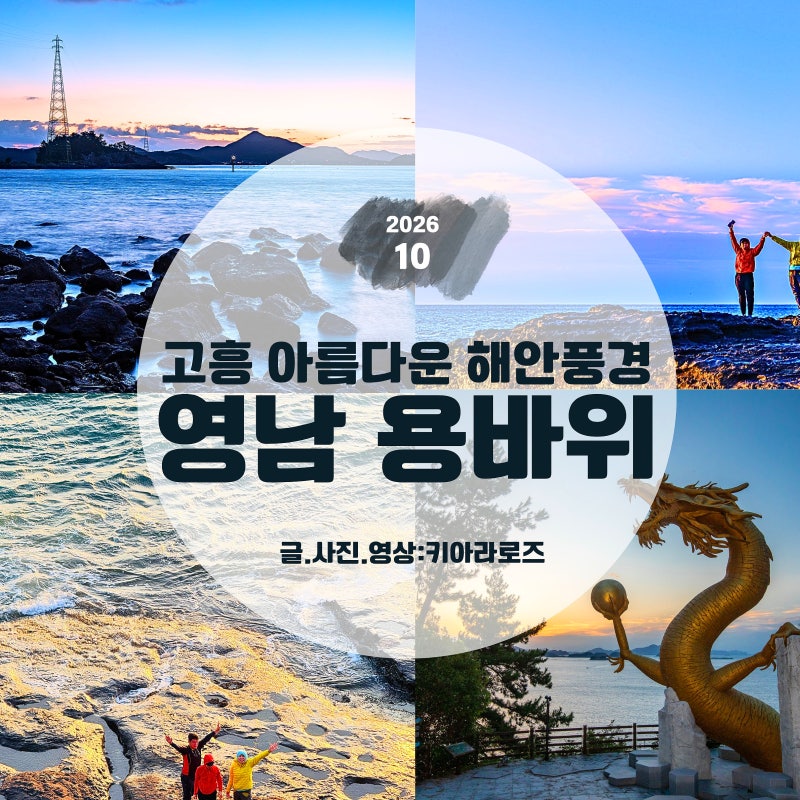 전남 고흥 가볼만한곳 고흥 용바위 해변 vs 황금 용 조형물 일출 명소 꿀팁