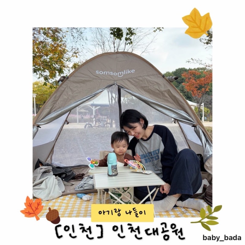 [인천] 인천대공원 | 가을 나들이 | 아기랑 가을 소풍 | 가을 피크닉 | 코스모스