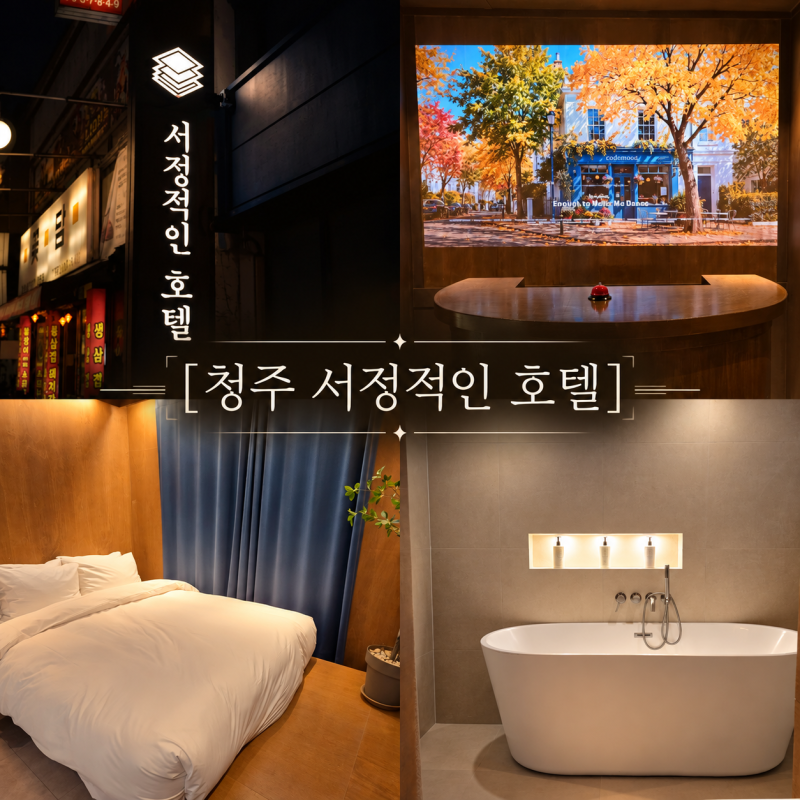 청주 감성 숙소 서정적인호텔 청주점 C타입 후기, 청주 호텔 추천