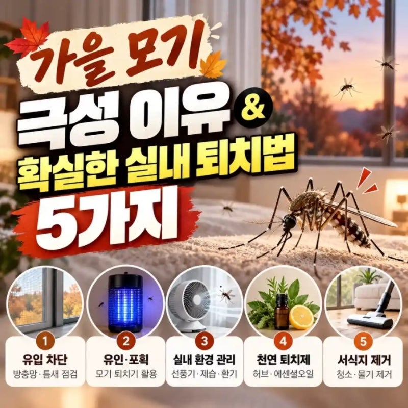2026년 10월 가을 모기 극성! 15층 아파트도 뚫린 하수구 모기 완벽 실내 퇴치법 5가지