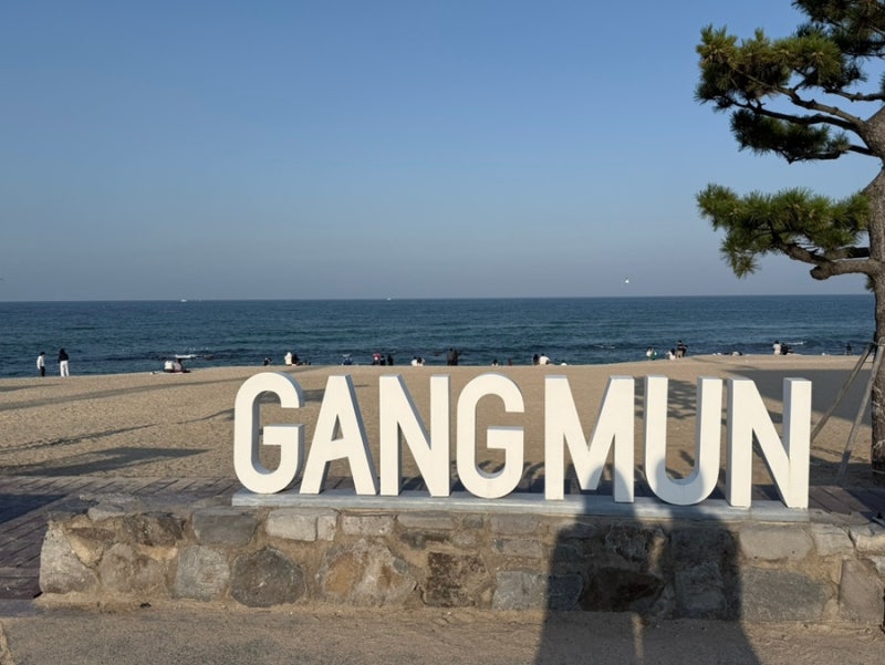 강릉 당일치기 여행 코스 추천ㅣ 강문해변 사진 명소와 머슬비치 후기