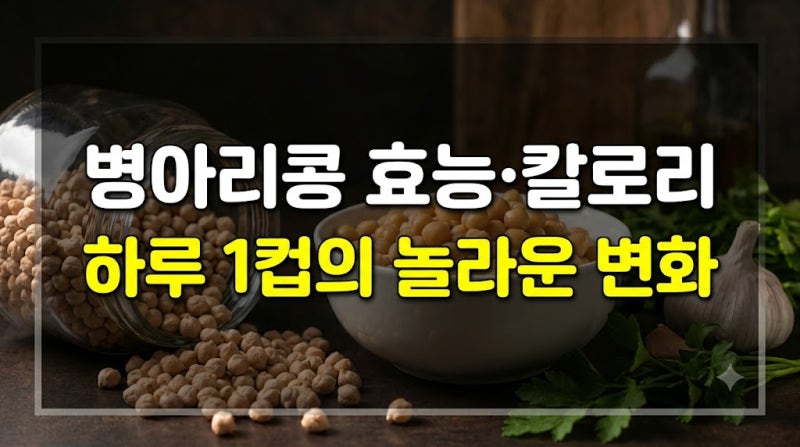 병아리콩 효능과 삶는법 칼로리 보관법 다이어트 요리 총정리