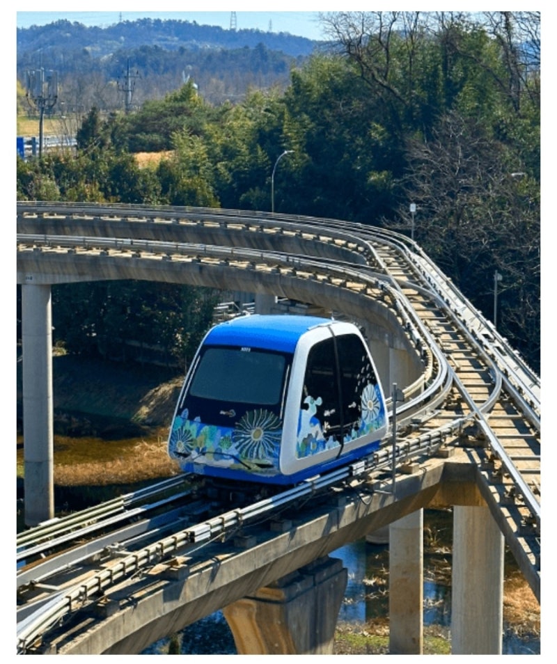 순천만 국가정원 찐 재미 - 스카이큐브, 갈대열차 타기