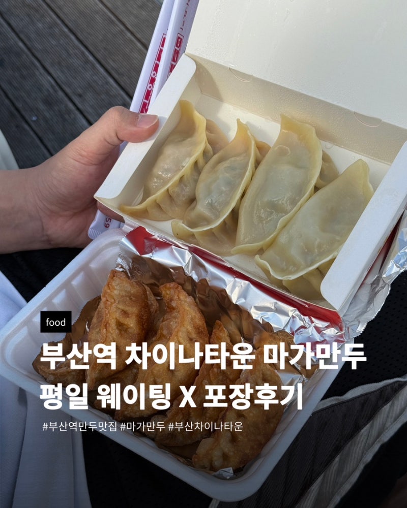 부산역 차이나타운 마가만두 포장 후기! 육즙 가득 군만두 & 새우만두 인생만두 추천 (부산역....