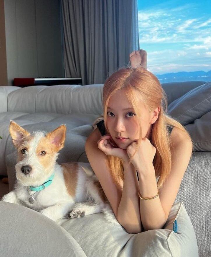 사람보다 호화롭다? 블랙핑크 로제 반려견이 받는 선물들