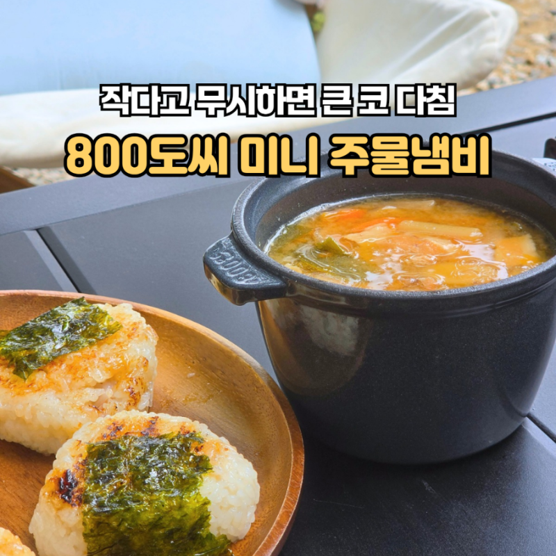 800도씨 미니 무쇠 주물냄비 후기 캠핑 솥밥부터 튀김까지