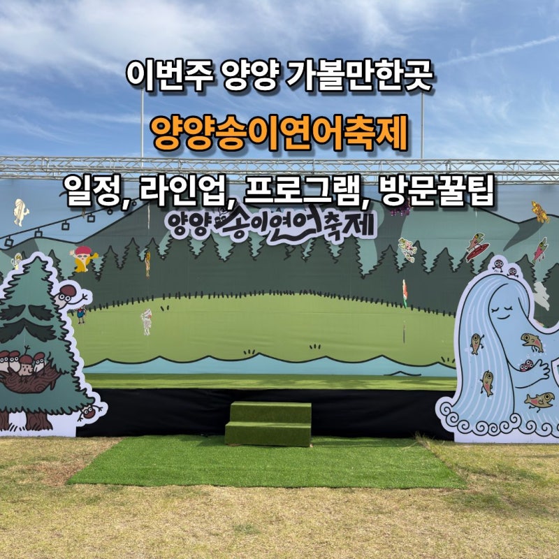 양양가볼만한곳 2026 양양송이연어축제 일정 프로그램 주차 방문꿀팁
