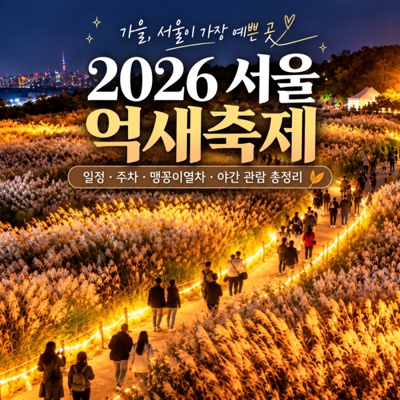 2026 서울억새축제 일정 총정리｜하늘공원 주차장. 야간 라이팅쇼