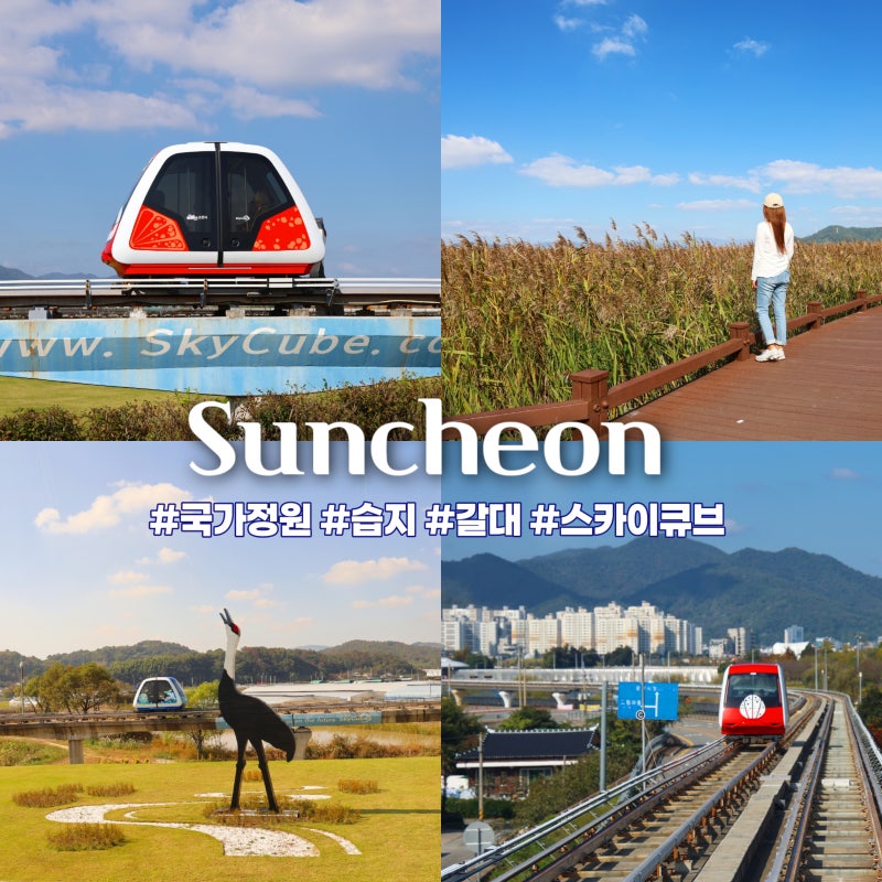 순천만국가정원과 순천만 습지 갈대밭 왕복 순천스카이큐브 탑승 정보