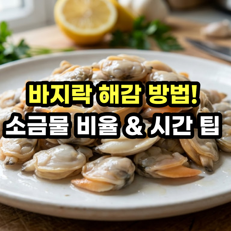바지락 해감 방법, 시간부터 소금물 비율 보관법까지