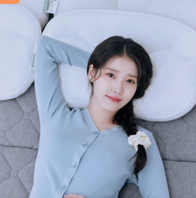 [장바구니] 베개 유목민 남편과 정착! 슬립앤슬립 아이유 깊은잠 베개 솔직 후기&추천 ✨