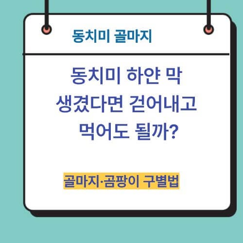 동치미 하얀 막 생겼다면 걷어내고 먹어도 될까? 골마지·곰팡이 구별법