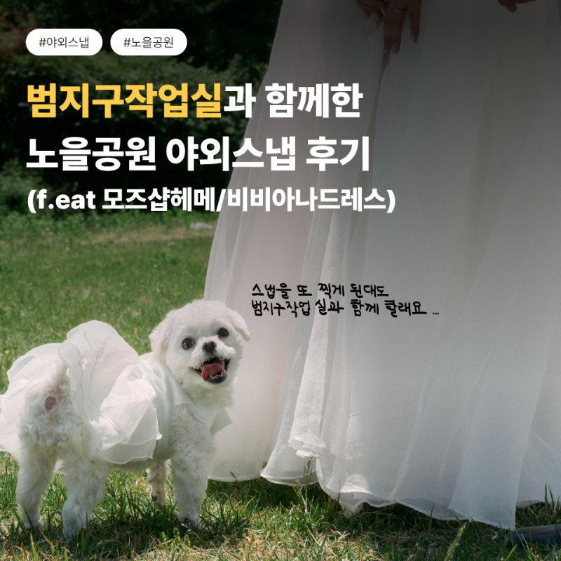 범지구작업실 노을공원 야외스냅 촬영후기｜강아지 동반 노을공원 웨딩 야외스냅 추천｜비....