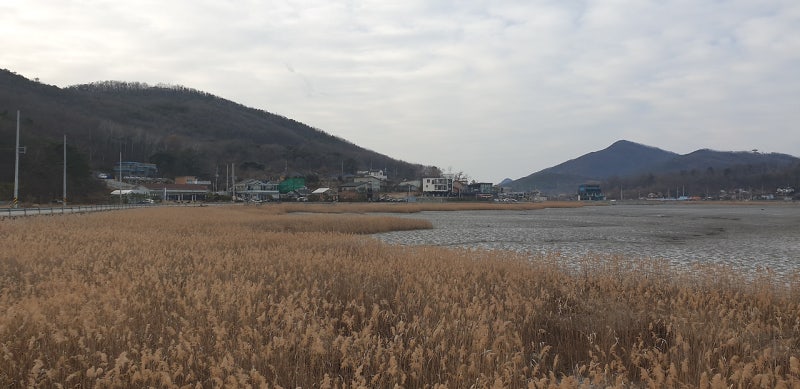 강화 동검도(東檢島)