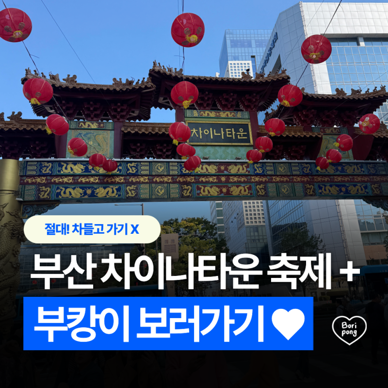[부산 가볼만한곳] 2026 부산 차이나타운 문화축제 먹거리 구경하고 부캉이 보러 북항 친수공....