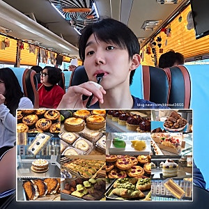 나혼자산다 서범준 대전 빵집 어디? 빵지순례 리스트부터 빵버스 예약 가격까지 총정리