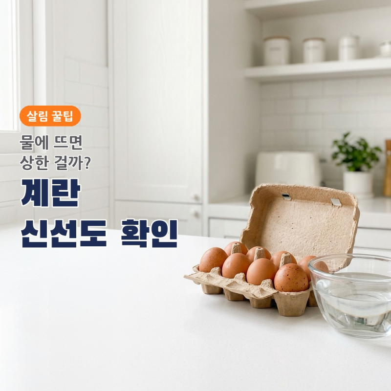 물에 뜨면 무조건 상한 계란이라고.. 0801이 말해주는 것