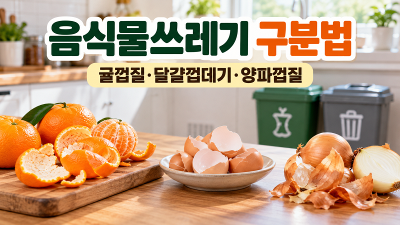 귤껍질은 음식물쓰레기? 달걀껍데기·양파껍질까지 헷갈리는 분리배출 총정리