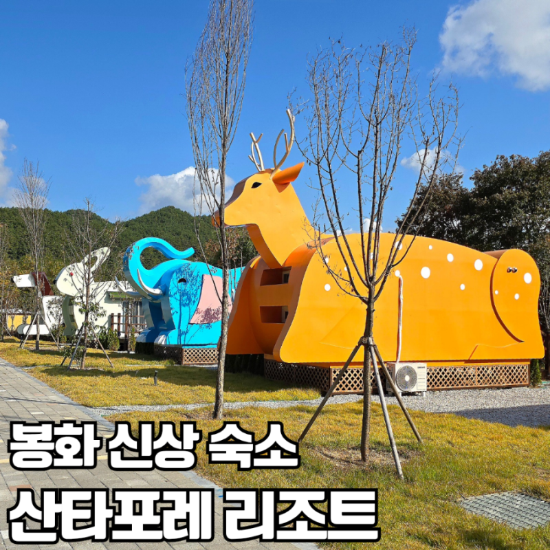 [경북/봉화군] 산타포레 리조트 | 봉화 신상 이색 숙소! 동물 카라반 숙박 후기
