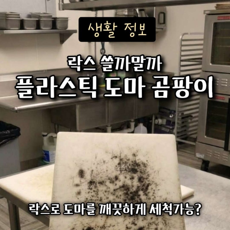 플라스틱 도마 곰팡이, 락스로 새것처럼! 올바른 사용법 총정리