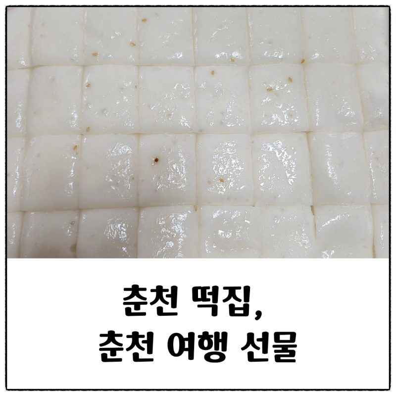 춘천 기정떡 춘천 떡집 맛집 증편 술빵 선물세트 춘천 여행 선물