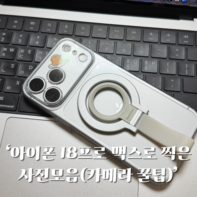 아이폰 18프로 맥스로 찍은 사진모음, 카메라 꿀팁 대방출